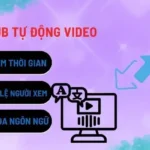 chen-sub-tu-dong-video