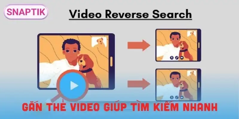 quan-ly-thu-vien-video-gan-the-video