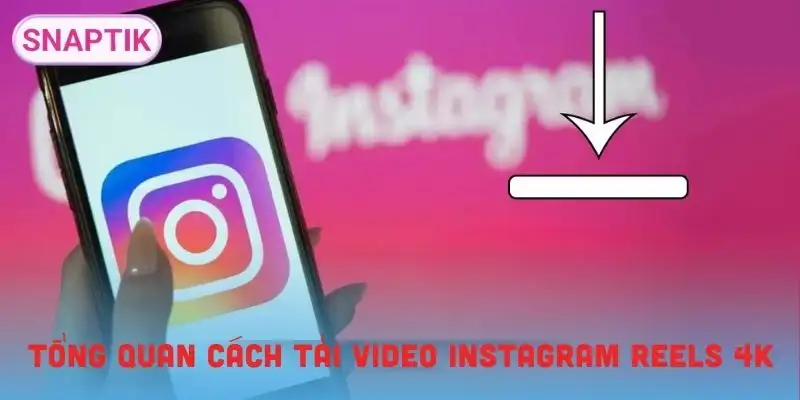 tai-video-instagram-reels-4k-tong-quan